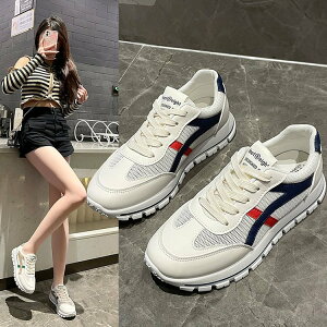 fB[X Xj[J[ |CgC C   nCq[ V[Y O o