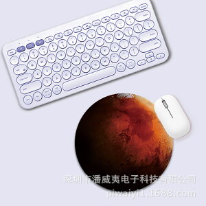 T[N }EXpbh ffUC48 ~^ 22cm ~ߕt ֗ACe PCObY   v[g  嗝 ԕ }[u