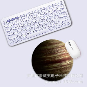 T[N }EXpbh ffUC53 ~^ 22cm ~ߕt ֗ACe PCObY   v[g  嗝 ԕ }[u