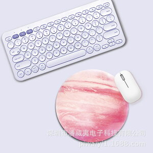 T[N }EXpbh ffUC56 ~^ 22cm ~ߕt ֗ACe PCObY   v[g  嗝 ԕ }[u