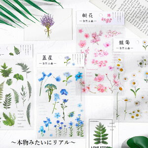 At[ flower   t V[  NA R[W f V[ DIY XebJ[ h   fR 蒠  JX^ t[NV[