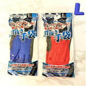 ҂Fit ɂ jgSw܁iLj S R  ~ | H DIY