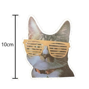 AIXebJ[W yL Kl zh Ǐ ǎ ͂V[ DIY  Ƌ gC fR X[cP[X Ȃǂ