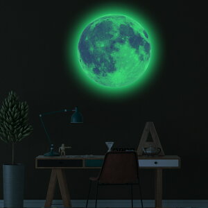 ÈłŌ遙~ f sN×O[ 40cm  X^[ F EH[XebJ[  V V[ CN tH[ DIY C877