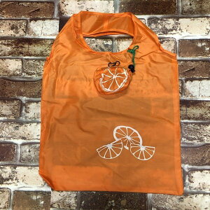 t[c̃fUC y݂EIWz VbsOobO F-219 g[gobO GRobO Rrj