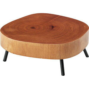 v^[x[X yuEz VR(}zKj[)ACA(̓h)E^h