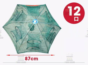 n^[ 12 ߊl  y RpNg[ ܂ݎ  JS EiM AiS  Gr Jj  C ނ