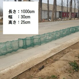 楽天市場 お 魚 キラー 海の通販
