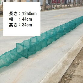 楽天市場 お 魚 キラー 海の通販