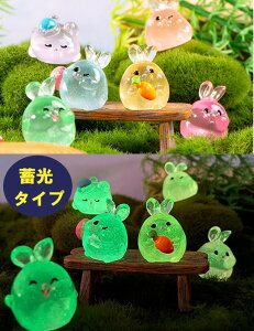 ~ tBMA ETM 6Zbg _J[ ANAE eE ۃE ԓ  CeAA