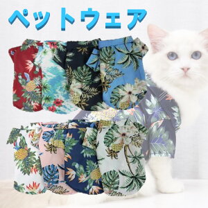 hbOEFA t 8F 6TCY  AnVc  ^ ^ _炩 m 