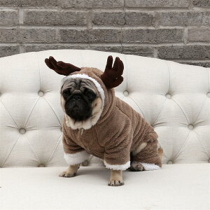 cutegiJC  hbOEFA    ^ ^ Ȃ I[C hbOEFA[ m