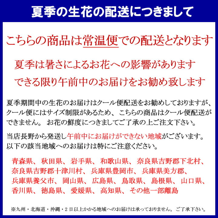 楽天市場 あす楽 14時迄 お盆 初盆 新盆 お悔やみ お供え オーダー フラワーアレンジメント 花束 Lサイズ 盆花 一対 花束 お盆の花 生花 一対 お悔み アレンジメント ペット 仏花 命日 四十九日 一周忌 アレンジフラワー 供花 枕花 即日発送 送料無料 花フラワーギフト