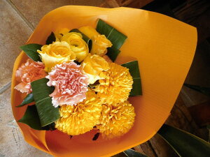 IWit[u[P ԑSTCY No.S11 pX^C a \ LO j ސEj j r^~J[ u[P pX^C ͂w 