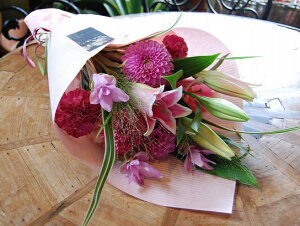 IWit[u[P ԑSTCY+1000~\ZAbv No.S09 a v[g  Mtg \ LO Ǝ LO  } j ސEj j 蕨 sN 