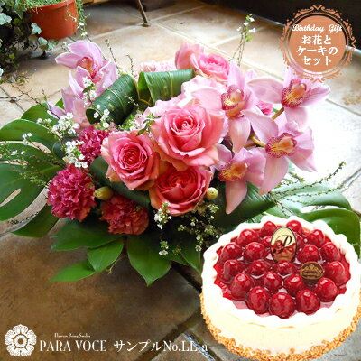 楽天市場 花とスイーツ お誕生日のフラワーアレンジメントllサイズ No Ll Aと洋菓子店カサミンゴーの最高級ケーキとのセット フラワーギフト 誕生日 花 選べるケーキ ホールケーキ 誕生日プレゼント 女性 花ギフト おしゃれ ギフト 生花 アレンジメント スイーツ セット