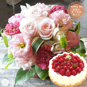 aP[L ԂƃXC[c ãt[AWgMTCY No.M01ƗmَqXJT~S[̍ōP[LƂ̃Zbg yIׂP[L o[Xf[P[L  av[g  