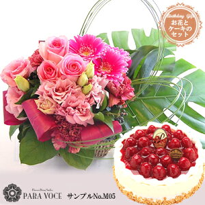 ԂƃXC[c a t[AWg MTCY No.M05ƗmَqXJT~S[̍ōP[LƂ̃Zbgyav[g IׂP[L AWg a z[P[L 