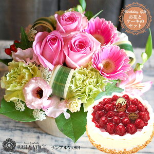 ãt[AWgSTCY No.S01ƗmَqXJT~S[̍ōP[LƂ̃Zbgyj av[g ԂƃXC[c  Mtg o[Xf[P[L aP[L z[