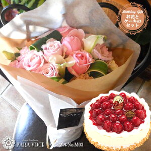 ԂƃXC[c ảԑMTCY No.M03ipX^CjƗmَqXJT~S[̍ōP[LƂ̃Zbg yt[Mtg a  IׂP[L z[P[L av[g 