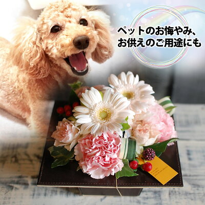 生花フラワーアレンジメントコントラスト花花ギフトおしゃれモダンアレンジメントカーネーション誕生日プレゼントギフト誕生日プレゼントメッセージカード付き退職祝い結婚記念日お祝いお供え女性男性
