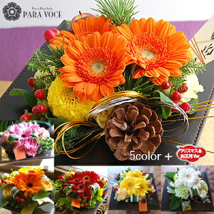 ŒZzB ͂wOK a  AWg  t[AWg RgXg  Mtg v[g j a av[g  j  }t NX}