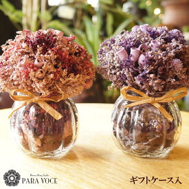 最短 翌日配達 14時〆 ドライフラワー ナチュラル ポットアレンジ ケース入り 花 ギフト 誕生日 誕生日プレゼント ホワイトデー お返し 贈り物 引っ越し祝い 退職祝い プレゼント ピンク パープル ガラスポット インテリア雑貨 送料無料