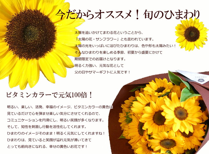 楽天市場 ひまわりの花束 50本 誕生日 花 ギフト お祝い 花 ひまわり 花束 花 ギフト プレゼント 誕生日 向日葵 誕生日プレゼント 女性 男性 父 母 妻 フラワーギフト 夏ギフト 花ギフト おしゃれ 生花 送料無料 花フラワーギフト専門店パラボッセ
