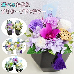 ŒZzB ފ Mtg vU[uht[ ̉    dp   Mtg ~  ͂Ȃ vU[uht[  yV  ybg