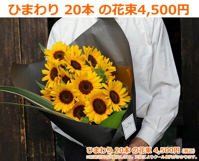 【父の日花ギフト】旬の花ひまわりの花束(20本)【父の日ひまわり花束お中元サマーギフト向日葵誕生日プレゼント女性男性花ギフト花束誕生日フラワーギフト向日葵メッセージカード付カーネーション生花】【RCP】