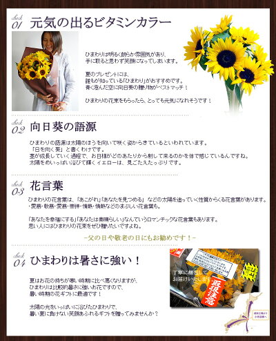 楽天市場 ひまわりの花束 30本 ひまわり 花束 花 ギフト 生花 誕生日 お祝い お中元 サマーギフト プレゼント 誕生日プレゼント 女性 男性 フラワーギフト 花ギフト おしゃれ 向日葵 夏ギフト 花フラワーギフト専門店パラボッセ