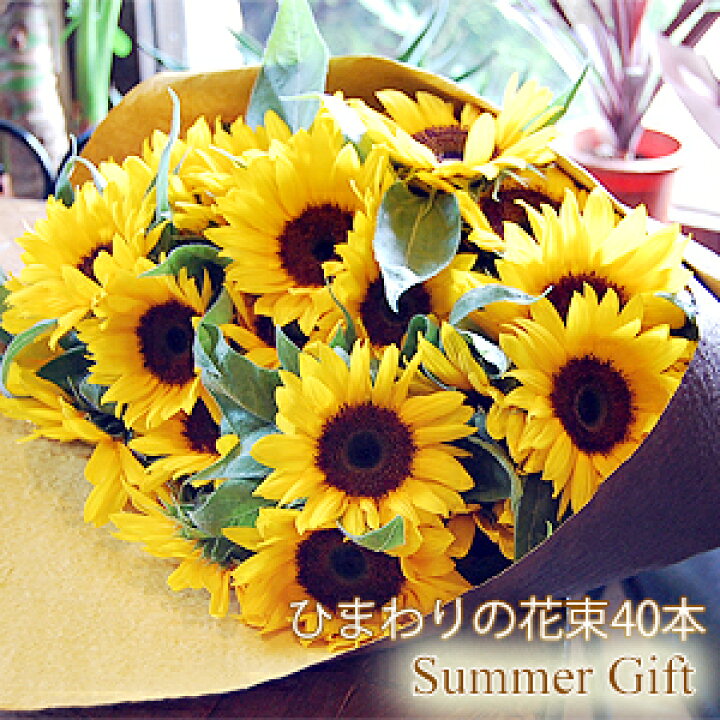 楽天市場 ひまわりの花束 40本 誕生日ギフト 誕生日 お祝い 花 ひまわり 花束 花 ギフト プレゼント 誕生日プレゼント 女性 男性 向日葵 生花 フラワーギフト 誕生日 夏ギフト 花ギフト おしゃれ 暑中見舞い 送料無料 花フラワーギフト専門店パラボッセ