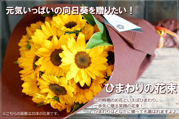 楽天市場 ひまわりの花束 40本 ひまわり ギフト 花 誕生日ギフト 誕生日 プレゼント 誕生日プレゼント 女性 男性 結婚記念日 退職祝い 発表会 結婚祝い 贈り物 夏ギフト 向日葵 生花 フラワーギフト 誕生日 花ギフト おしゃれ 送料無料 花フラワーギフト専門店パラボッセ
