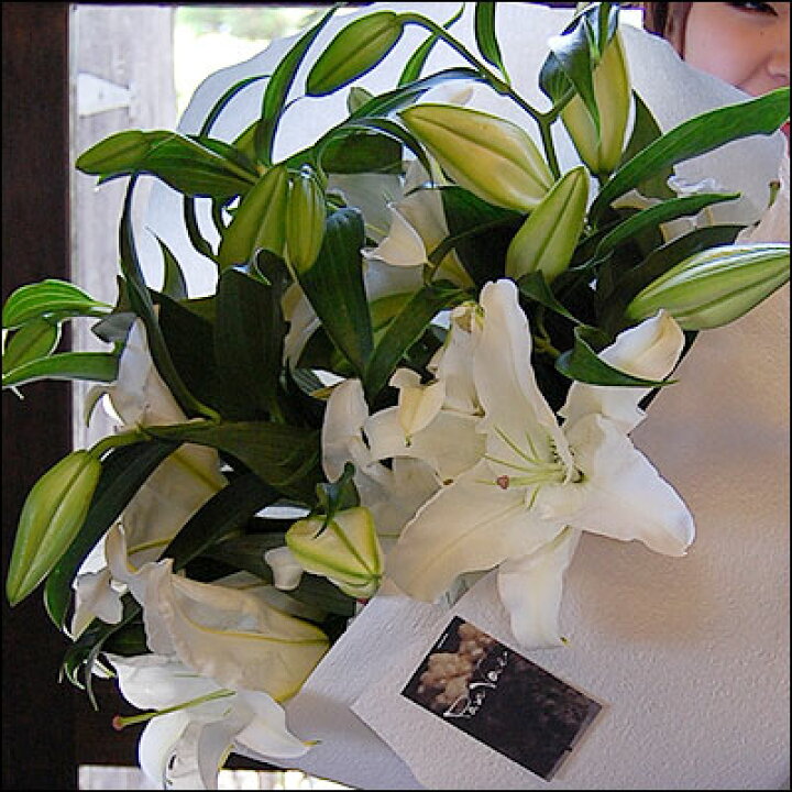 7865円 予約販売 本 花束 カサブランカの花束ｍ 誕生日 生花 ギフト プレゼント 白