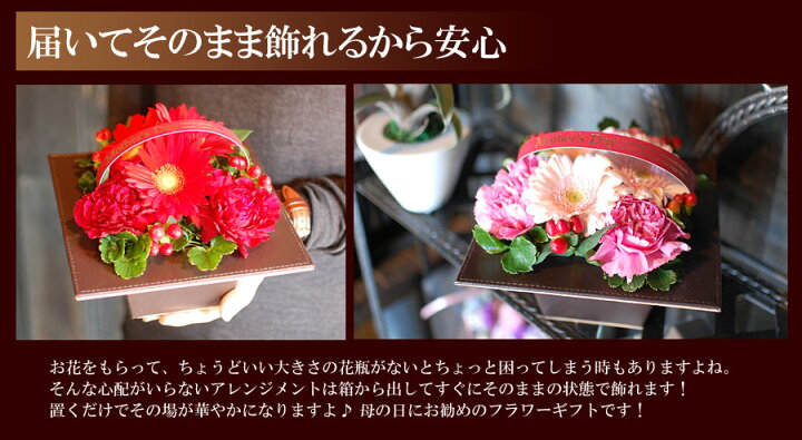 楽天市場 生花 フラワーアレンジメント コントラスト 母の日ギフト 母の日 ギフト 花 母の日 プレゼント あす楽14時迄 お祝い 花 誕生日 花 ギフト アレンジ 誕生日プレゼント 女性 男性 退職祝い おしゃれ アレンジフラワー お供え 送料無料 花フラワーギフト専門