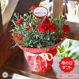 【母の日 超早割 10%OFF】2026 母の日 プレゼント 赤いカーネーション花鉢 鉢カバー付 【母の日 ギフト 鉢植え 母の日 カーネーション 母の日 花 赤 5号鉢 プレゼント 母の日ギフト 花鉢 鉢花 花ギフト おしゃれ 送料無料】