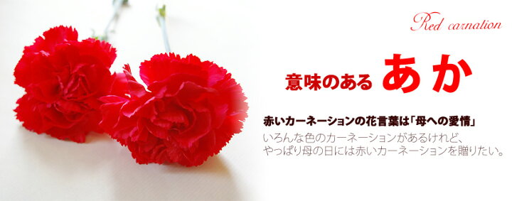 楽天市場 22 母の日 プレゼント 赤いカーネーション花鉢 鉢カバー付 母の日 ギフト 鉢植え カーネーション 花 赤 5号鉢 プレゼント 母の日ギフト 花鉢 鉢花 花ギフト おしゃれ 送料無料 Rcp 花フラワーギフト専門店パラボッセ