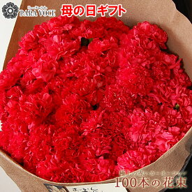 【母の日 超早割 10％OFF】2026 ははの日 母の日 プレゼント 赤いカーネーション100本の花束 母の日 カーネーション驚きのボリューム 母の日 花 母の日 ギフト 極上 赤いカーネーション 花束 感動の花束 母の日 花ギフト おしゃれ 生花 贈り物 送料無料