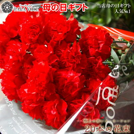 楽天市場 母の日 カーネーション 花束の通販