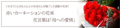 【父の日花ギフト】旬の花ひまわりの花束(20本)【父の日ひまわり花束お中元サマーギフト向日葵誕生日プレゼント女性男性花ギフト花束誕生日フラワーギフト向日葵メッセージカード付カーネーション生花】【RCP】