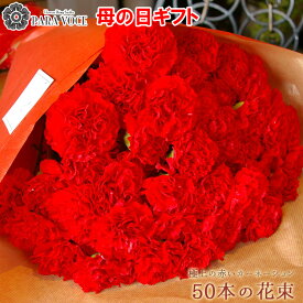 母の日 早割 母の日ギフト 赤いカーネーションの花束 50本の花束 【母の日プレゼント 花 ギフト 花束 赤 極上 赤いカーネーション 大輪 母の日ギフト プレゼント おしゃれ 感動の花束 母の日ギフト 生花 贈り物 送料無料】