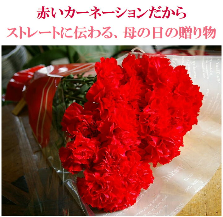 カーネーション本の花束 母の日ギフトの大定番大輪真っ赤なカーネーション