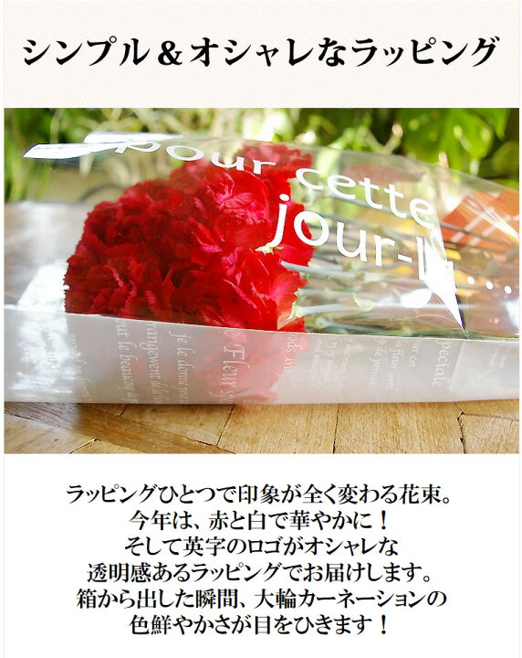 楽天市場 遅れてごめんね 母の日ギフト 母の日 カーネーション 花 本 花束 赤いカーネーション 感動の花束 極上カーネーション プレゼント 花ギフト おしゃれ お母さん ギフト 母の日プレゼント 生花 カーネーション 贈り物 送料無料 花フラワーギフト専門店 楽天市場 遅れてごめんね 母の日ギフト 母の日 カーネーション 花 本 花束 赤いカーネーション 感動の花束 極上カーネーション プレゼント 花ギフト おしゃれ お母さん ギフト 母の日プレゼント 生花 カーネーション 贈り物 送料無料 花フラワーギフト専門店