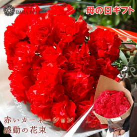【 母の日 超早割 最大10％OFF】2026 母の日 プレゼント 母の日 カーネーション 花束 赤いカーネーションの花束 選べる本数 20・50・100 感動の花束 花 ギフト ははの日 スイーツ セットも 花ギフト おしゃれ ギフト 母の日のプレゼント 生花 贈り物 送料無料