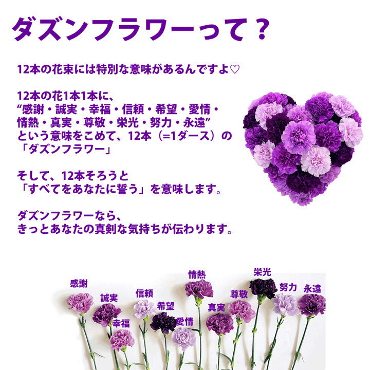 楽天市場 花 誕生日 古稀 喜寿 卒寿 お祝い カーネーション ムーンダストの花束 S 12本 長寿のお祝い 退職祝い プレゼント 女性 男性 記念日 花 ダズンフラワー 古希 紫 青 誕生日プレゼント 入学祝い 就職祝い スタンディングブーケ 花瓶が要らない 喜寿 紫 生花