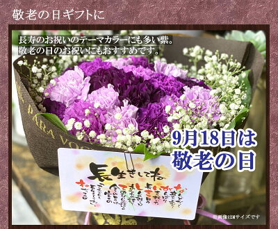 楽天市場 敬老の日 ギフト 花 誕生日 古稀 喜寿 卒寿 等のお祝いに カーネーション ムーンダストの花束 S 12本 敬老の日ギフト プレゼント ダズンフラワー 古希 お祝い 紫 青 誕生日プレゼント 女性 男性 生花 花ギフト 送料無料 花フラワーギフト専門店パラボッセ