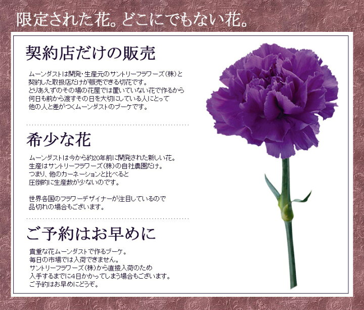 楽天市場 花 誕生日 古稀 喜寿 卒寿 お祝い カーネーション ムーンダストの花束 S 12本 長寿のお祝い 退職祝い プレゼント 女性 男性 記念日 花 ダズンフラワー 古希 紫 青 誕生日プレゼント ホワイトデー スタンディングブーケ 花瓶が要らない 喜寿 紫 生花 送料無料
