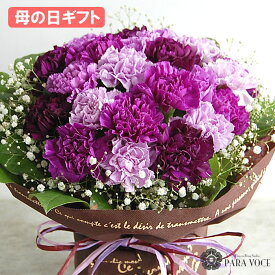 母の日 早割 母の日ギフト カーネーション ムーンダストの花束 M 24本【母の日 花 プレゼント 花瓶が要らない花束 スタンディングブーケ 立つブーケ フラワーギフト 生花 おしゃれ ギフト 母の日プレゼント 贈り物 送料無料】