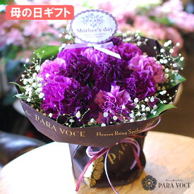 ●週末限定SALE● 母の日 早割 ギフト カーネーション ムーンダストの花束(S 12本) 【母の日 花 母の日ギフト 花瓶が要らない 花束 スタンディングブーケ ダズンフラワー ギフト 生花 花ギフト おしゃれ 母の日 プレゼント 送料無料】