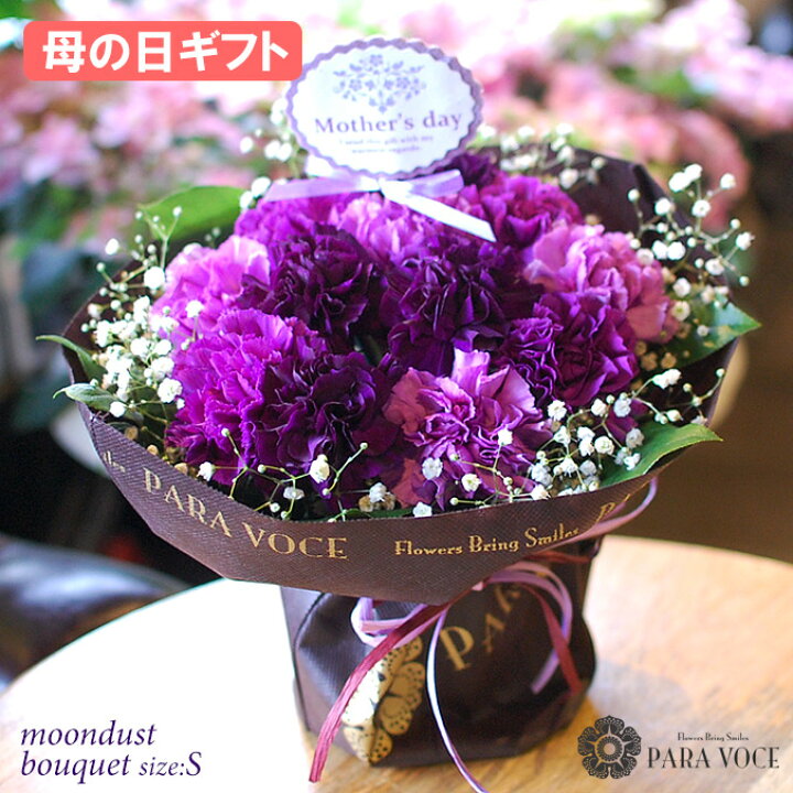 楽天市場 遅れてごめんね 母の日ギフト 順次発送 母の日 ギフト カーネーション ムーンダストの花束 S 12本 母の日 花 花瓶が要らない 花束 スタンディングブーケ ダズンフラワー ギフト 生花 花ギフト おしゃれ 母の日ギフト プレゼント 立つブーケ 送料無料